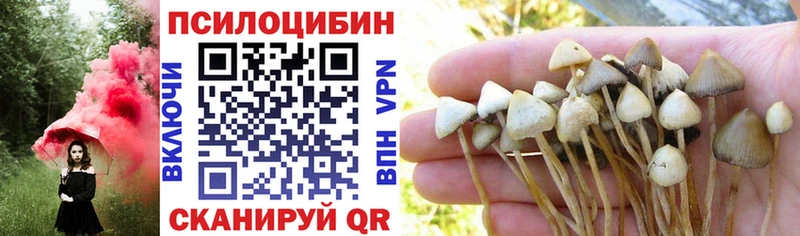 Галлюциногенные грибы мухоморы  Канск 