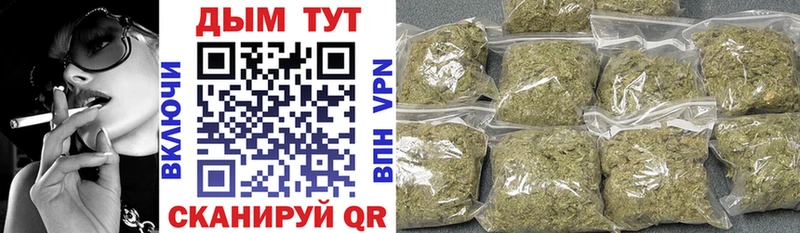 магазин  наркотиков  Канск  Шишки марихуана SATIVA & INDICA 